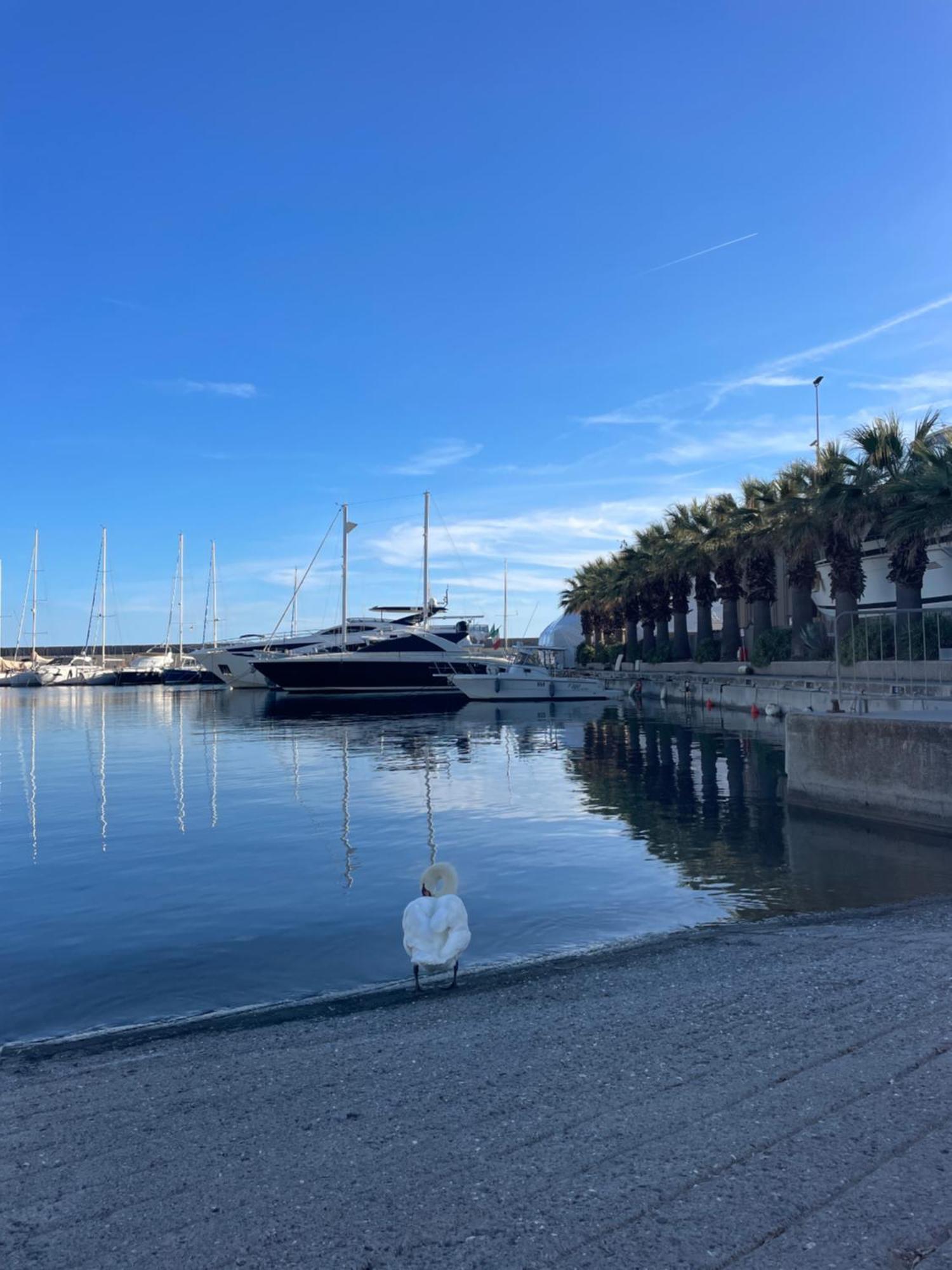 Bistrot Del Mare Apartman Santo Stefano al Mare Kültér fotó