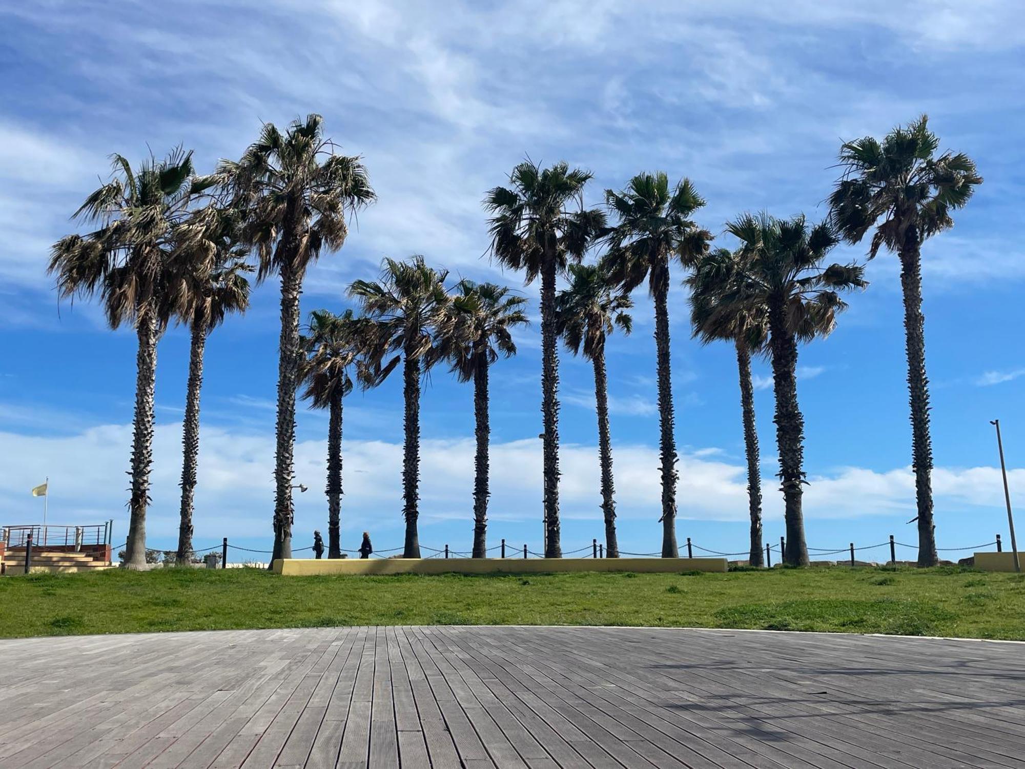 Bistrot Del Mare Apartman Santo Stefano al Mare Kültér fotó
